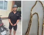 Bắt giữ đối tượng mang bình xịt hơi cay đi cướp tiệm vàng