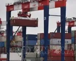 Đàm phán thuế quan: Liệu Nhật Bản có tránh được thuế của Mỹ?