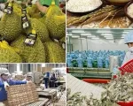 Mở rộng gói tín dụng tiếp sức cho nông, lâm, thủy sản