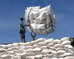 Gạo Việt xuất khẩu lấy lại vị thế “đắt giá nhất thế giới”