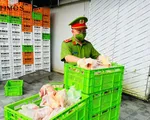 Hà Nội: Phát hiện và ngăn chặn 20 tấn gà bẩn tuồn ra thị trường