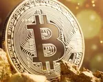 Bitcoin vượt mốc 93.000 USD
