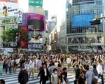 IMF: BOJ sẽ trì hoãn việc tăng lãi suất do bất ổn về thuế quan