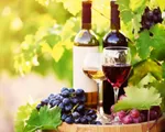 Báo động rượu vang châu Âu nhiễm “chất ô nhiễm vĩnh cửu”