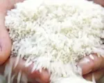 Gạo Việt đắt hàng