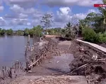 Cà Mau: Thi công kè gây sạt lở bờ sông