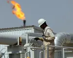 Giá dầu thấp gây sức ép lên ngành dầu đá phiến Mỹ