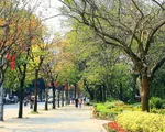Từ ngày 10/5, nắng nóng diện rộng sẽ kết thúc ở Bắc Bộ và Trung Bộ