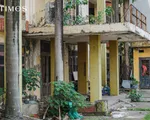 Hơn 1km, 5 trụ sở công bỏ hoang trên phố Tô Hiệu (Hà Đông)