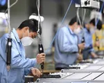 Đề xuất miễn, giảm thuế cho doanh nghiệp sử dụng công chức thôi việc