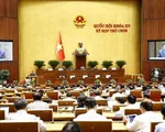 Đề xuất chuyển tiếp cơ chế đặc thù tại 5 địa phương sau sáp nhập