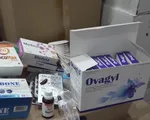 Truy quét các tổng kho kinh doanh tập kết thực phẩm chức năng giả