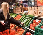 EC hạ dự báo tăng trưởng của nền kinh tế lớn thứ ba Eurozone