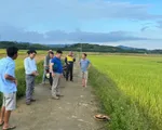 Một phụ nữ bị sét đánh tử vong trên đồng ruộng