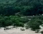 2 học sinh tử vong, 2 em mất tích do lũ cuốn khi tắm suối ở Quảng Ninh