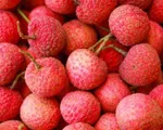 Mở rộng kết nối tiêu thụ vải thiều