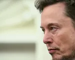 Elon Musk tuyên bố trở lại làm việc “24/7” sau sự cố gián đoạn của mạng X
