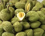 Thay đổi cách bảo quản sầu riêng để đảm bảo chất lượng xuất khẩu