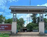 Nhiều cán bộ kiểm lâm, bảo vệ rừng bị hành hung, 1 phó giám đốc gãy xương sườn