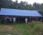 Sét đánh tử vong khi đang gặt lúa, ba người thiệt mạng chỉ trong 10 ngày