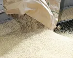 Nhật Bản hỗ trợ khu vực nông thôn ứng phó giá gạo leo thang
