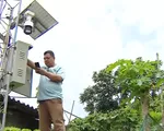 Kích hoạt hệ thống cảnh báo sớm sạt lở đất, lũ quét tích hợp IoT, điện toán đám mây