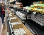 Mỹ thu hồi hơn 20 triệu quả trứng do nhiễm khuẩn salmonella