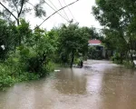 Đi giúp con gái chống lũ, người đàn ông bị điện giật tử vong