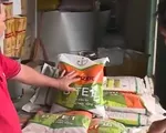 Nông dân khốn đốn vì mua nhầm lúa giống giả
