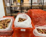 Vải thiều Việt Nam xuất sang thị trường Hoa Kỳ