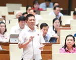 Phó Thủ tướng: Nên thu thuế khoán với hộ kinh doanh có doanh thu dưới 1 tỷ đồng