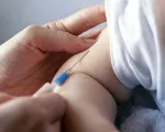 Phê duyệt nhập khẩu 77.600 liều vaccine phòng thuỷ đậu