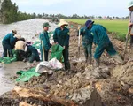 Tr&ecirc;n 100.000 ha đất n&ocirc;ng nghiệp tại ĐBSCL bị x&acirc;m nhập mặn