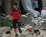 Những ngày yên bình của người dân ở Dải Gaza