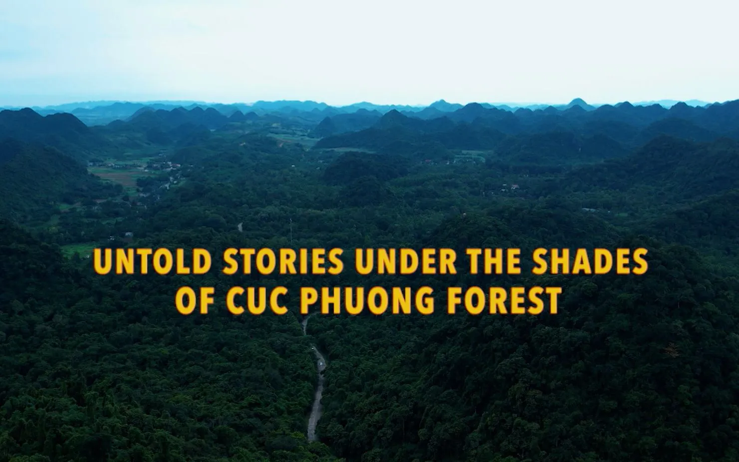 Untold stories under the shades of Cuc Phuong forest - Discovery