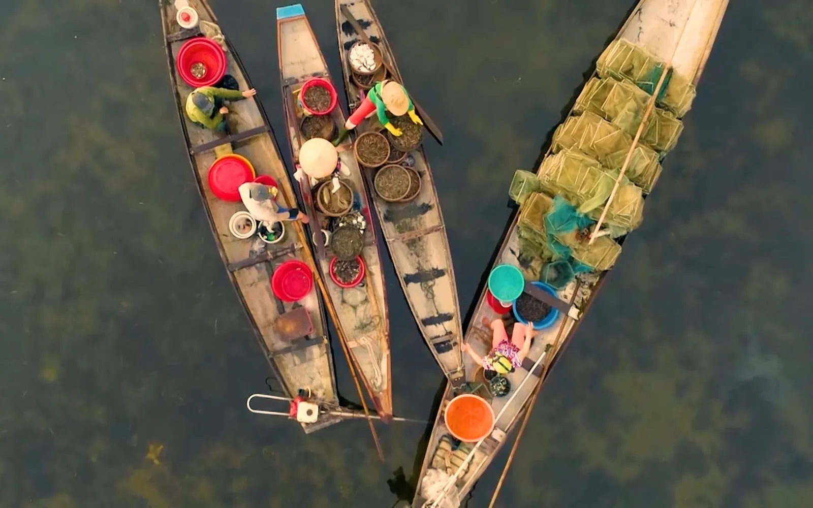 Rhythms of life | Amazing Vietnam