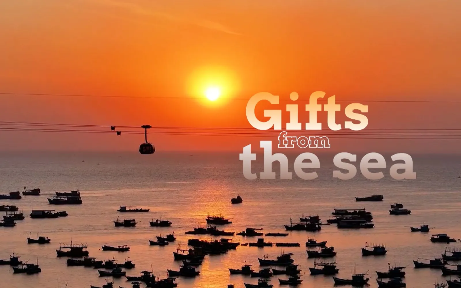 Gifts from the sea | Local Towards Global