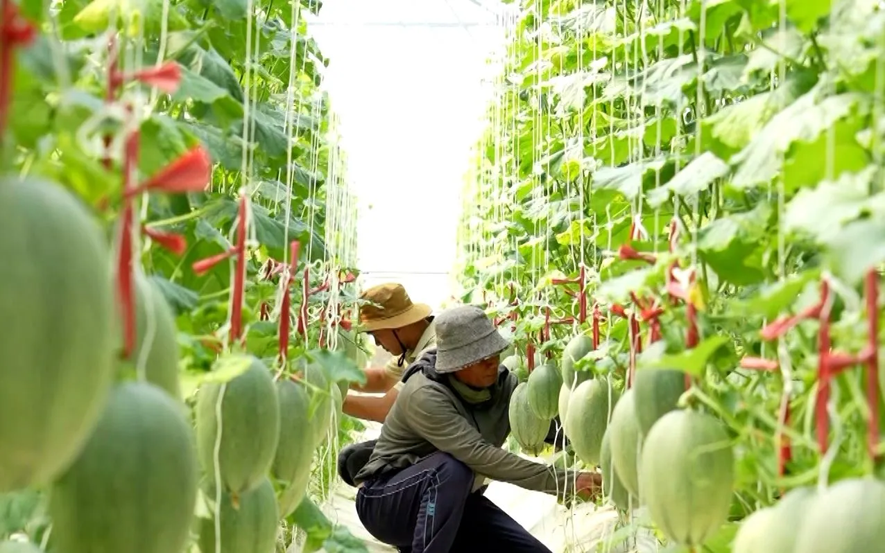 Boosting sustainable farming in dry regions