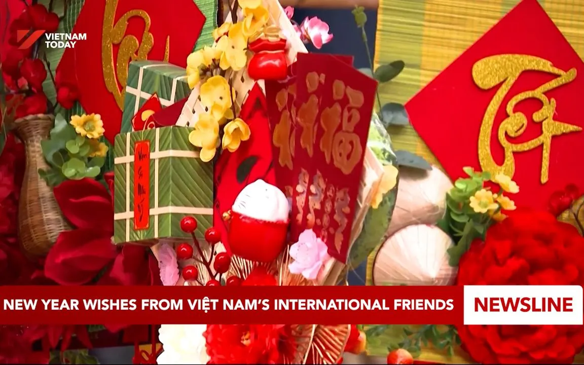 New Year wishes from Việt Nam’s international friends