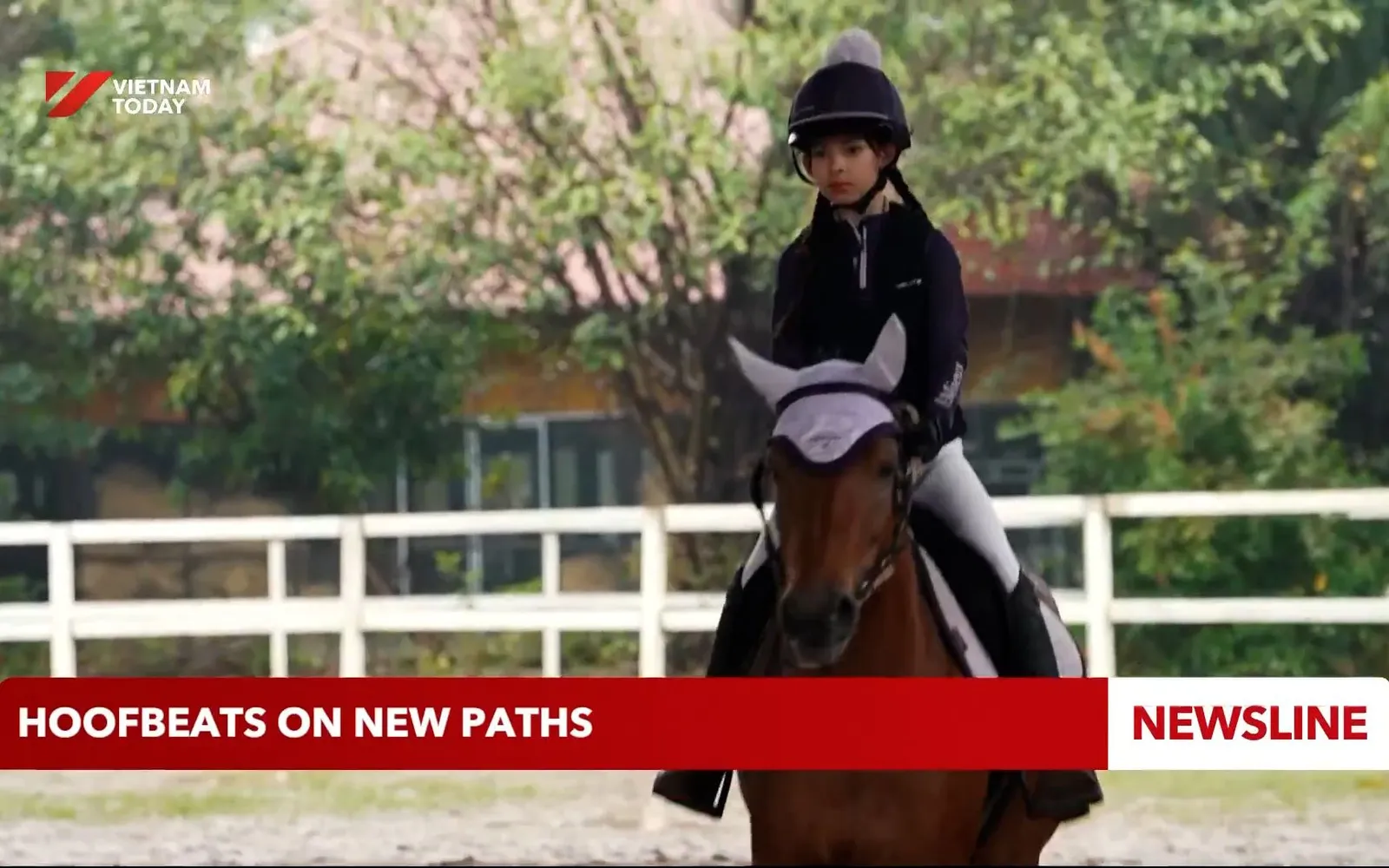 Hoofbeats on new paths