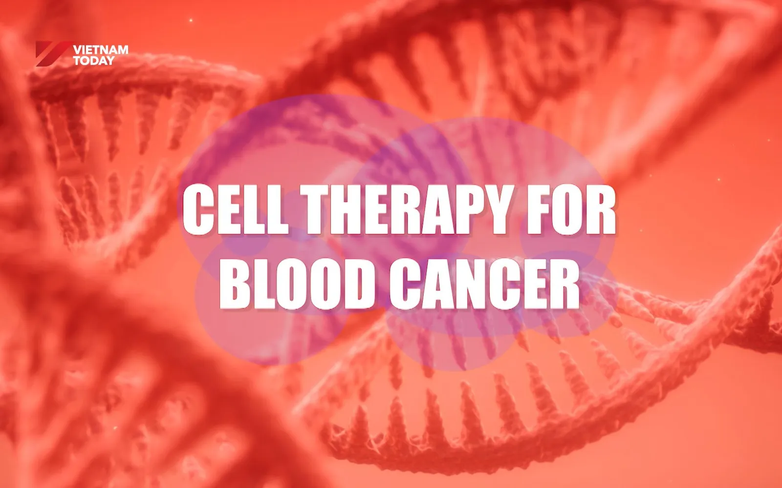 Cell Therapies for Blood Cancer | Health Matters