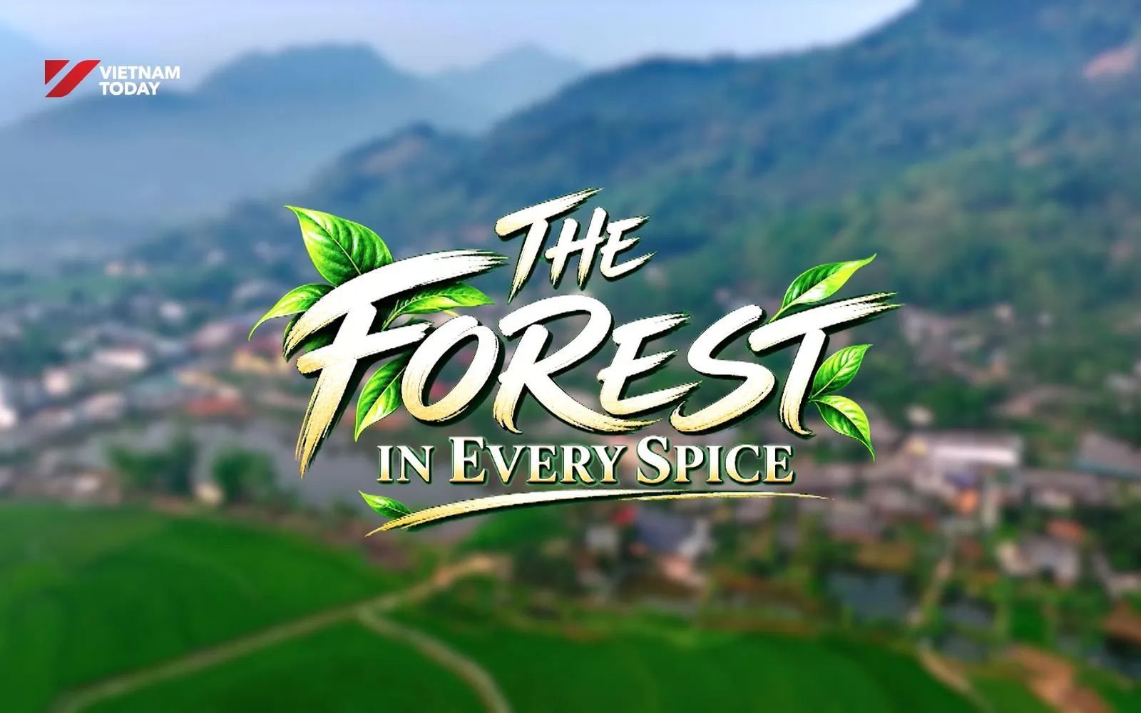 The Forest in Every Spice | Flavours and Beyond