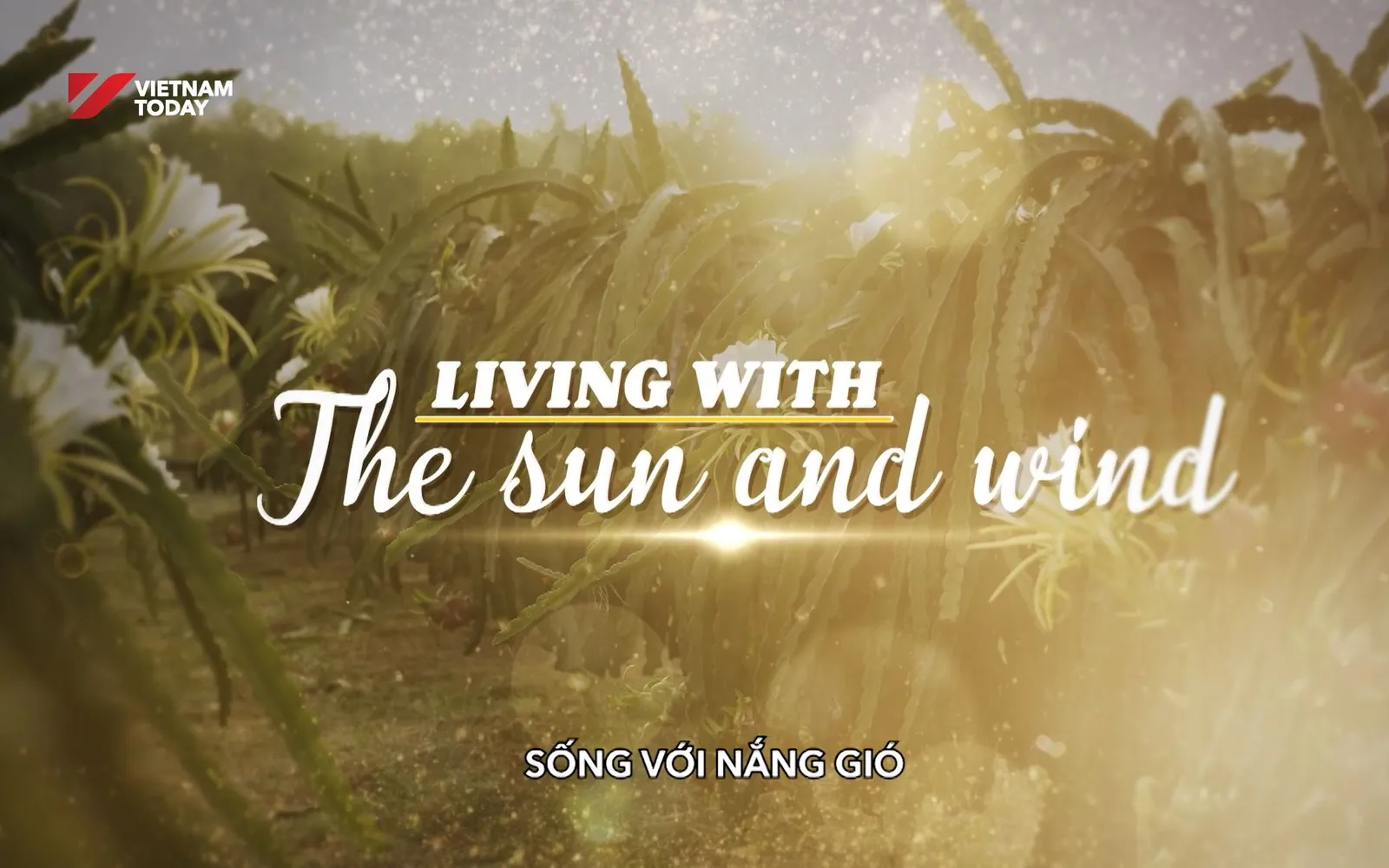 Living with the sun and wind | The Lens