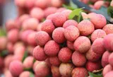 Lychee prices soar as output drops by more than 50%