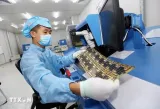 Vietnam sees opportunities to attract investments in electronics support industries