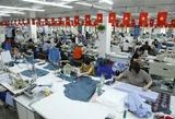 Strengthening intellectual property safeguards to sustain export markets