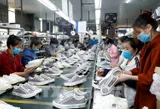 Footwear-leather industry seeks new drivers to sustain growth