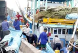 Gia Lai tightens fishing fleet management to combat IUU fishing