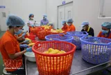 Vietnam’s food sector urged to move up global value chains