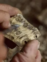 The Scent of Tien Phuoc Agarwood - Vibes of Vietnam